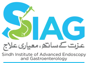 SIAG Logo